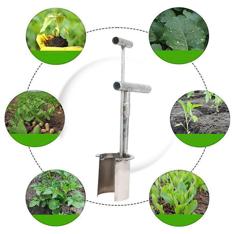 đ„50%OFFđł Plant- och frukttrĂ€dsplantor transplanterarâïž Köp tvĂ„ och fĂ„ fri frakt!