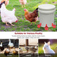 🐔 50 % RABATT NU! 💧 Automatisk vattenkopp för kyckling – håller vatten rent och fräscht – perfekt för hälsosam uppfödning 🌿