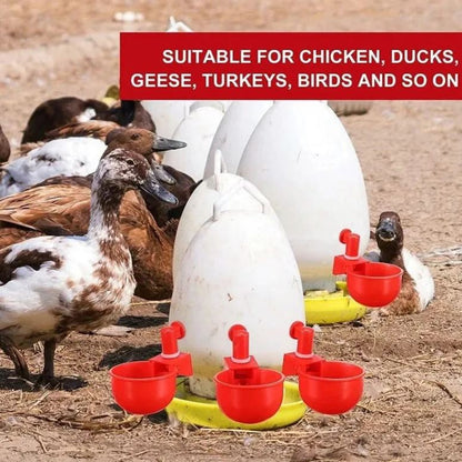 🐔 50 % RABATT NU! 💧 Automatisk vattenkopp för kyckling – håller vatten rent och fräscht – perfekt för hälsosam uppfödning 🌿