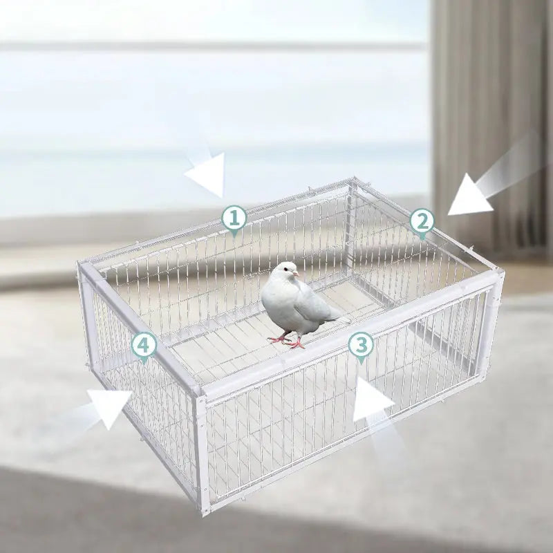 AutoTrap Bird Cage - Endast inträde, ingen utgång