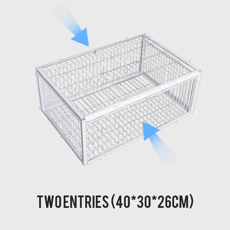 AutoTrap Bird Cage - Endast inträde, ingen utgång