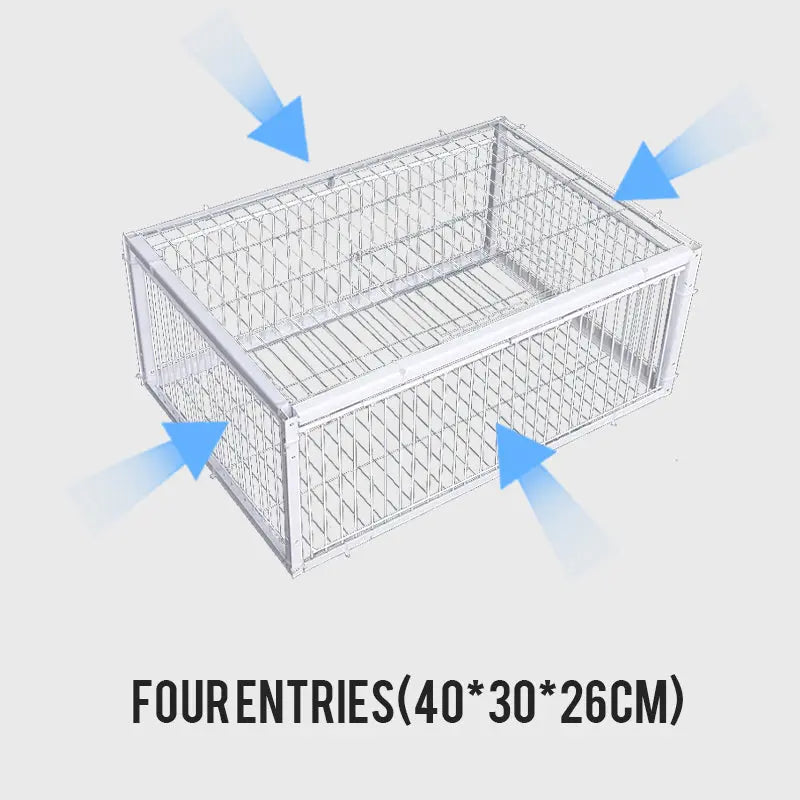 AutoTrap Bird Cage - Endast inträde, ingen utgång