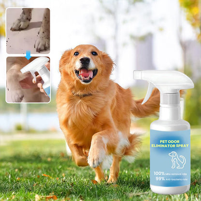 🐱🐶Spray för att eliminera husdjurslukt🍃