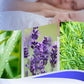 ⏳Limited-time 50% off⏰Myggavvisande kräm med eteriska växtoljor🌼