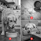 🐶 50% RABATT NU!🐾 Roll-N-Lick Hund Skål – Rullande Boll Långsam Matning – Anti-Slukning & Mental Stimulering – Säker ABS Godis Dispenser 🥣