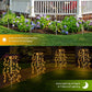 ☀️ 50% RABATT 🌙 | Solcellsdrivna Trädgårdslampor – 100/200 LED & IP55 Vattentät