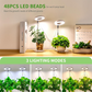 💡 50% RABATT! 🌱 LED Ängel Ring Växtlampa för Inomhusväxter – Fullt Spektrum, Energisnål & Perfekt För Optimal Tillväxt Oavsett Årstid 🌿