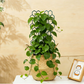 🌿 BEGRÄNSAD TID 50% RABATT! ✨ Bikakeformat Växtspaljé – Rostskyddad, Stapelbar, Enkel Installation 🐝