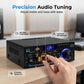 🎶 Digital karaoke-förstärkare – Bluetooth, USB & AUX, perfekt för mikrofon, gitarr & högtalare, kompakt & lätt att ta med 🎸