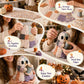 Lilla Spökets Mysiga Halloween DIY Lapparbetskit