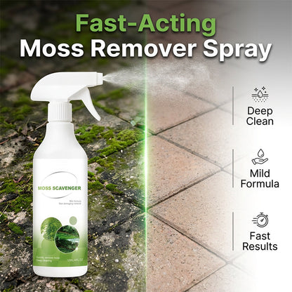 🔥🎁Nyhet 50 % RABATT🔥Spray för borttagning av mossa och alger utomhus
