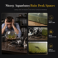 🐠 Spara 50%! 🏠 Transparent Akvarium – Med lock, dekorativt & perfekt för vardagsrummet ✨