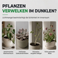 🌱 50 % RABATT! 💡 LED-växtlampa med fullspektrum – främjar tillväxt och blomning ✨