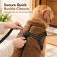 🐕 50 % RABATT NU! ❄️ Varm vinterjacka för hund med reflexband & sele – teddyfleece för små och medelstora hundar ✨