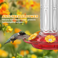 Hanging Hummingbird Feeder with Ant Moat