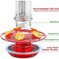 Hanging Hummingbird Feeder with Ant Moat