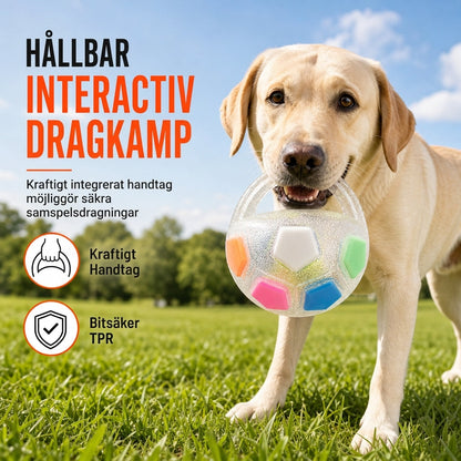 ⚽ 50% RABATT! 🐕 Interaktiv hundfotbollsleksak med greppöglor, perfekt för aktiv lek med hunden 🐾✨